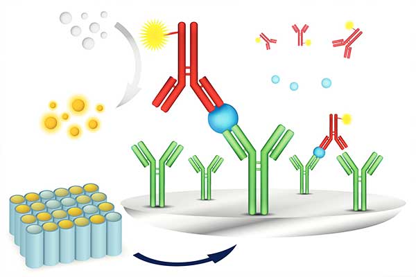 اختبار ELISA